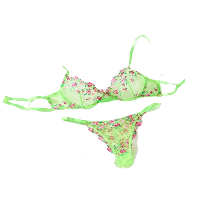 Sexy printed intimate lingerie for women